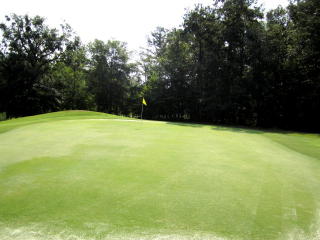 1160 Deer Trl, Bishop, GA 30621-6116