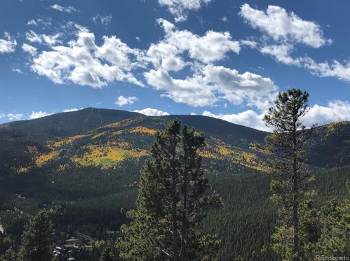 8662 Martin Ln, Conifer, CO 80433-9738