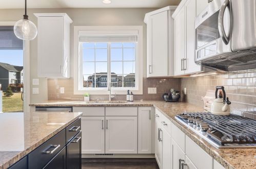 15972 Elmwood Way, Saint Paul MN  55124-4250 exterior