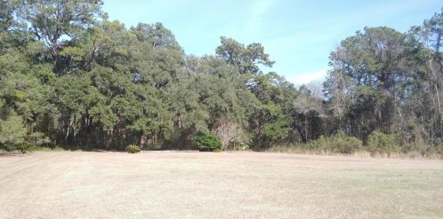 3768 Betsy Kerrison Pkwy, Johns Island, SC 29455-7104