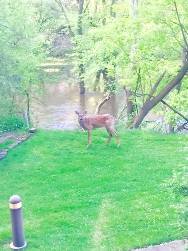 6701 Milwaukee Ave, Niles IL  60714-4418 exterior