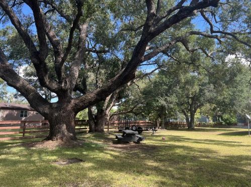 1419 Avenue L, Danbury, TX 77534-8880
