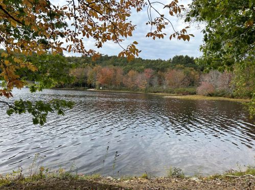 189 Little Wilson Pond Rd, Turner, ME 04282-4631