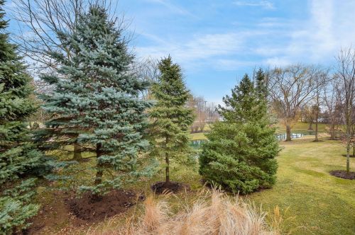1210 Stonebriar Ct, Naperville IL  60540-8017 exterior