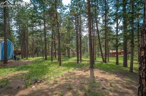 1148 Frst Hl Rd, Woodland Park CO 80863-1219 exterior