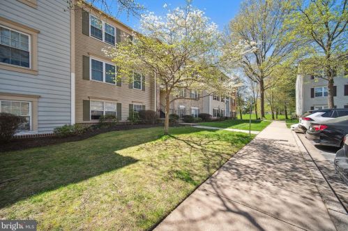 14909 Mckisson Ct, Silver Spring, MD 20906-6160