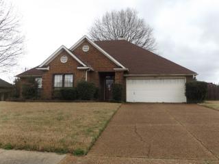 6809 Finch Rd, Memphis, TN 38141-2417