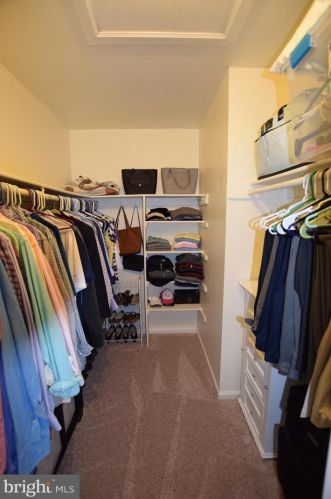 6100 Heron Pond Ct, Springfield VA  22015-3738 exterior