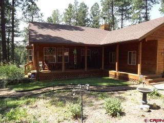 598 Pine Valley Rd, Vallecito, CO 81122-9282
