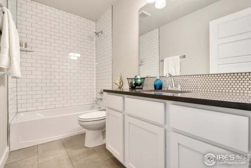 314 Ptarmigan St, Fort Collins CO  80550-3118 exterior