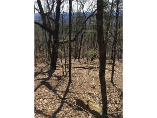 1602 Thunder Rdg, Big Canoe, GA 30143
