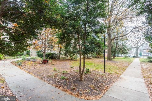 2217 Washington Ave, Silver Spring MD  20910-2626 exterior