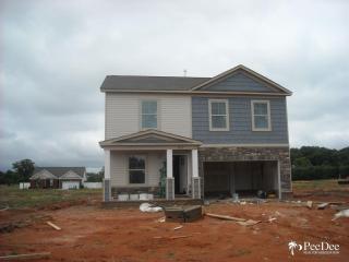 1213 Purple Martin Dr, Effingham, SC 29541-4945