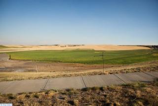 1123 Line Ct, Colton, WA 99113-5003