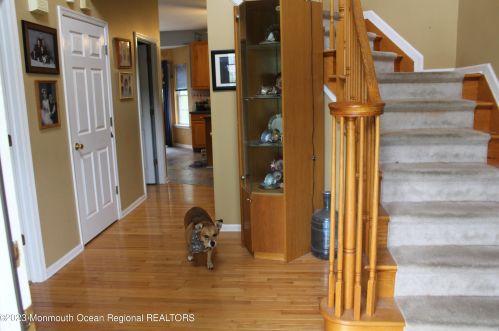 8 Summerhill Ave, Jackson Twp, NJ 08527-4365