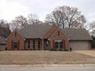355 Tate Dr, Somerville, TN 38060-6049
