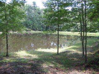 1109 Union Cemetery Rd, Augusta, GA 30906-9706