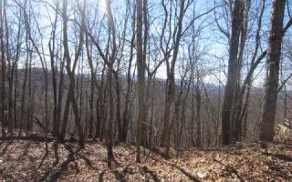 67 Walnut Rdg, Ellijay, GA 30536-2606