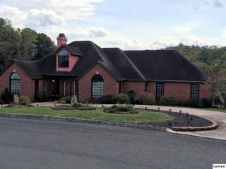 225 Bobwhite Trl, Pigeon Forge, TN 37876-1371