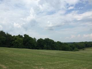 1846 Lochlann Dr, Culleoka, TN 38451-2762