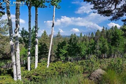 475 Porphry Rd, Twin Rock, CO 80816-8214