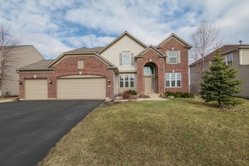 196 Chapin Way, Oswego, IL 60543-4056