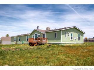 17150 Wagon Train Loop, Amo, CO 80831-6931
