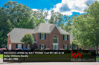 10389 Shea Woods Dr, Piperton, TN 38017-3639