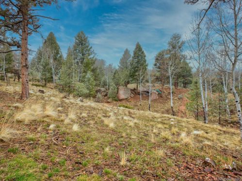 179 Highland Meadows Dr, Twin Rock, CO 80816-8813