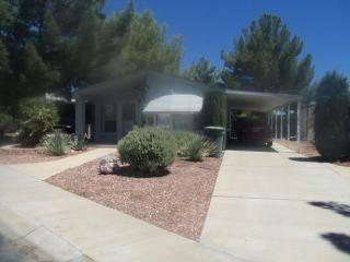 220 Rodeo Ln, Mesquite, NV 89027-6014