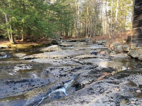 167 Turnpike Rd, Grafton, NH 03240-3723
