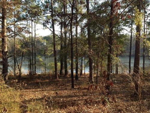 85 Hidden Lagoon Dr, Fort Gaines, GA 39851-2432