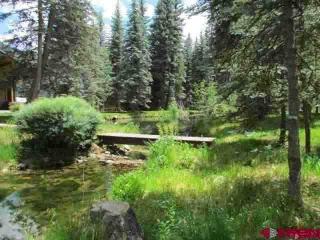 280 Boletus Creek Dr, Vallecito, CO 81122-9733