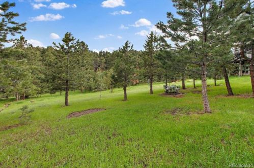 23398 Fescue Dr, Lakewood, CO 80401