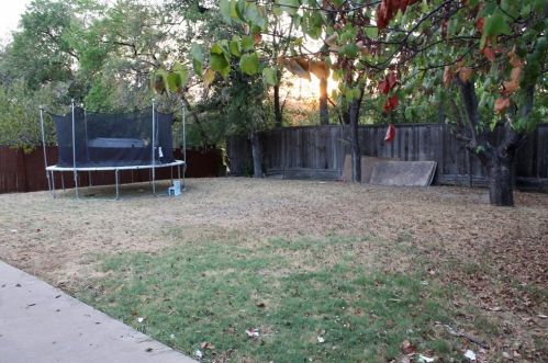 1813 Sherwood Ln, Carrollton TX 75006-4205 exterior