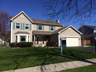 40 Georgetown Dr, Trout Valley, IL 60013-1874