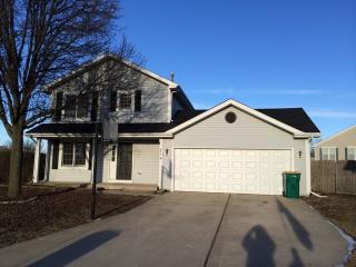 2910 Grand Prairie Dr, Joliet IL  60431-9213 exterior