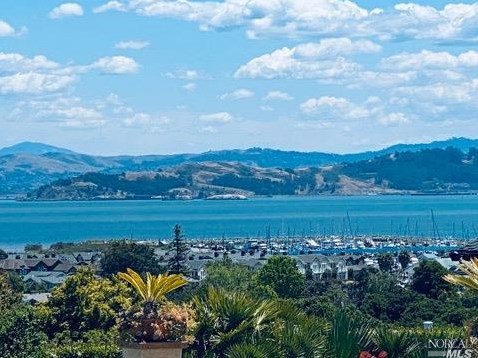 39 Arguello Cir, San Rafael, CA 94901-2401