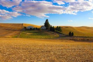 5007 Bradshaw Rd, Spangle, WA 99031-9764
