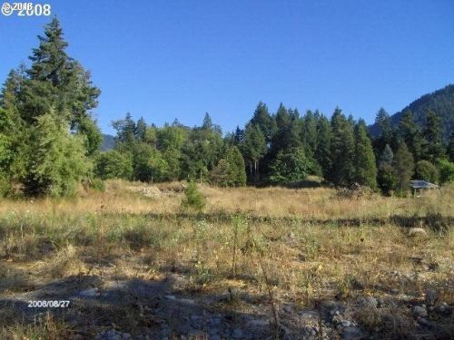 48373 Roaring Rapids Way, Oakridge OR  97463-8501 exterior