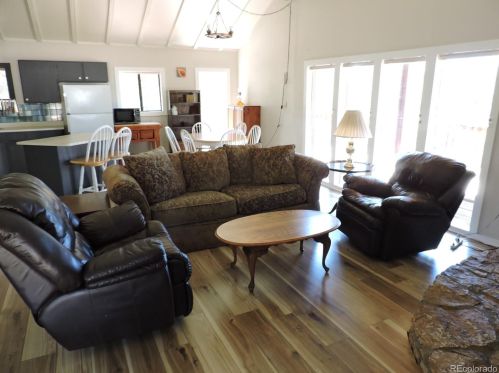 1297 Al Gulch Rd, Fairplay, CO 80456-9743