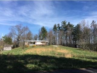 1360 Lower Paint Creek Rd, Greeneville, TN 37743-7482