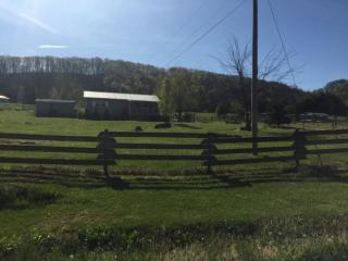 2074 Pines Rd, Afton, TN 37616-3038