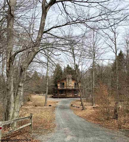 31 Yoakum Run Rd, Canaan Valley, WV 26260-8225