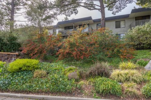 1223 Shelter Creek Ln, San Bruno, CA 94066-6073