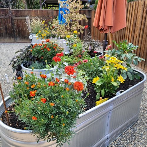 709 Ml St, Ukiah CA 95482-4649 exterior