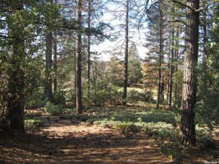 7108 Maidu Dr, Swansboro Country, CA 95667-9033