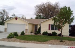 1081 6th St, Delta, CO