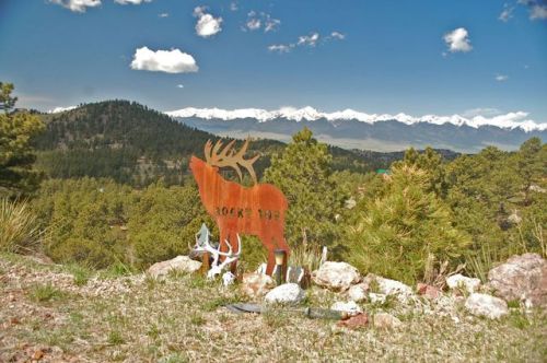 555 Matterhorn Cir, Horn Creek, CO 81252-9659