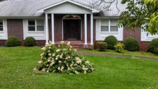 7717 Lasata Ln, Harrison, TN 37341-9611